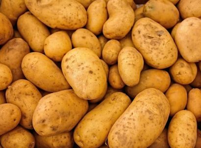Potato
